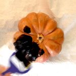 halloween pumpkin step 2